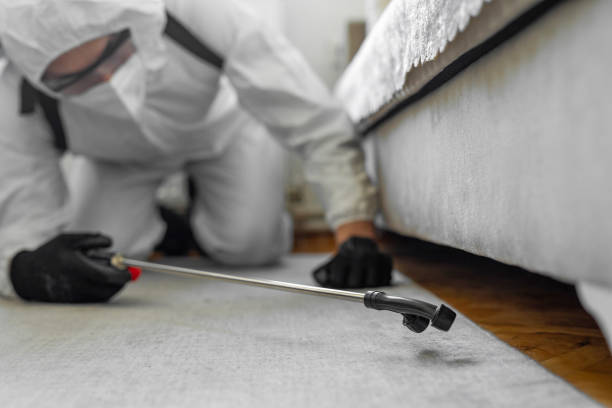 Professional Termite Control technician working in Independence, MN